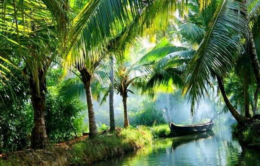 God’s Own Country Kerala 03 days tour