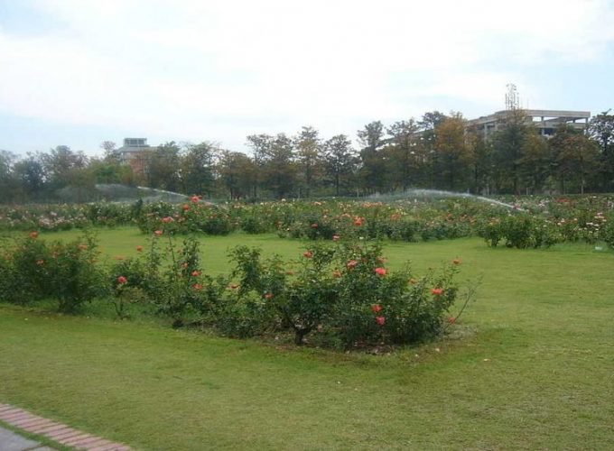 Chandigarh Special Holiday Tour 3Nights 4Days