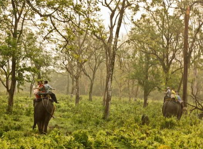 Kolkata Gangasagar Mayapur Holiday Package (05 Night 06 Days)