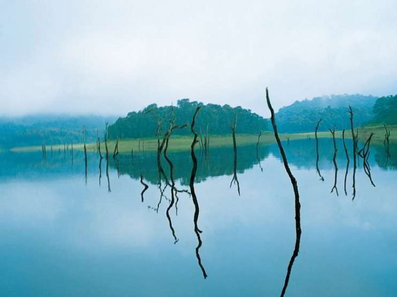 God’s Own Country Kerala Thekkady Tour