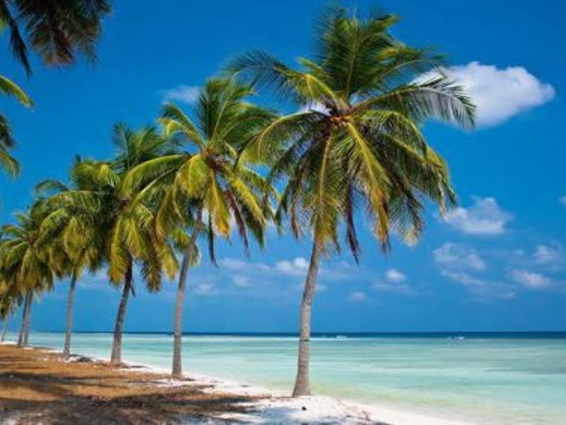 Lakshadweep Package  5 nights/ 6 days