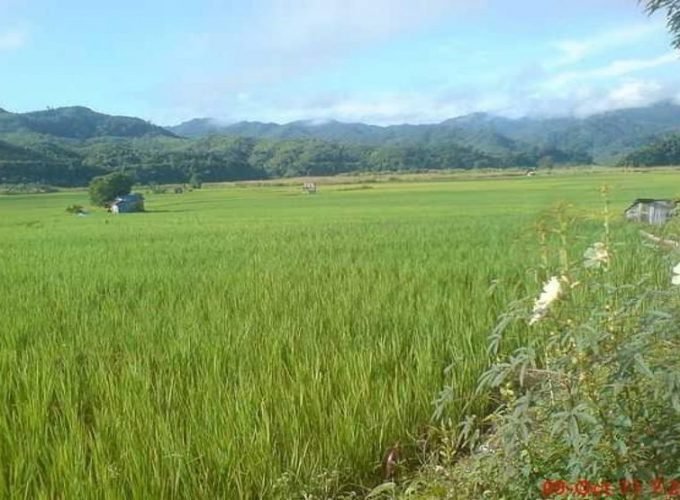 Mizoram Tour Package (05 Night / 06 Days)