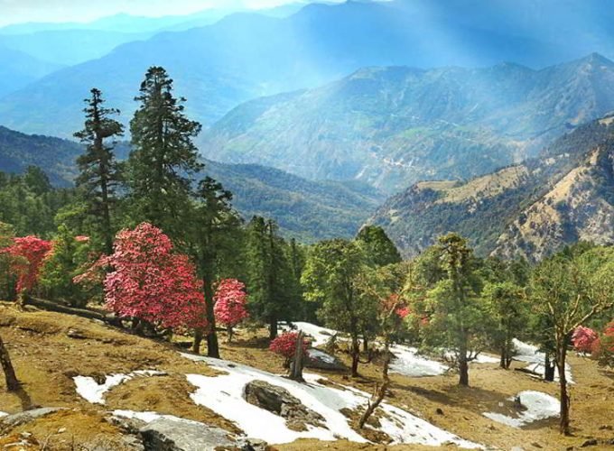 Uttrakhand  Chopta Trekking Tour (05 Nights & 06 Days)