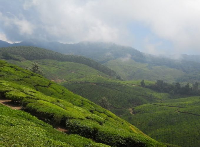 “Mushroom city of India” Solan tour