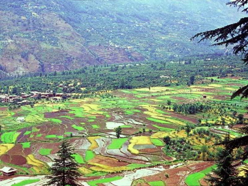 “Unforgettable Himachal” Shimla, Tattapani and Karsog Valley Tour