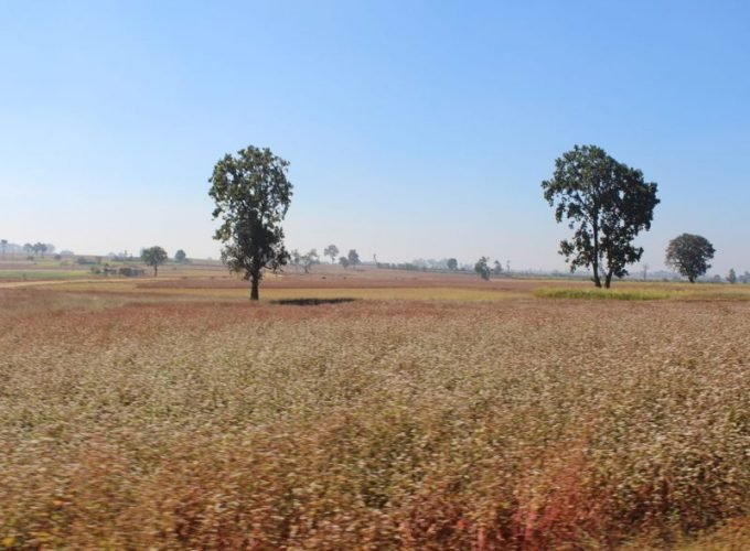 Barnawapara Wildlife Sanctuary Holiday Tour 02 Nights & 03 Days