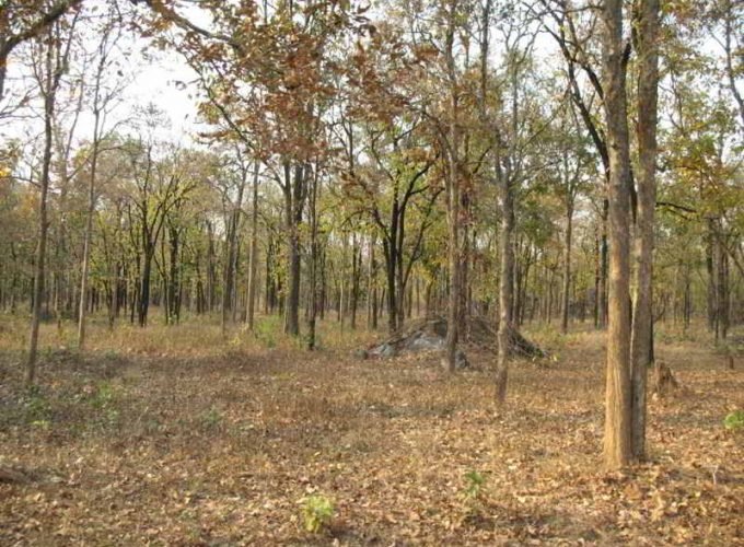 Champaran Holiday Tour 02 Nights & 03 Days