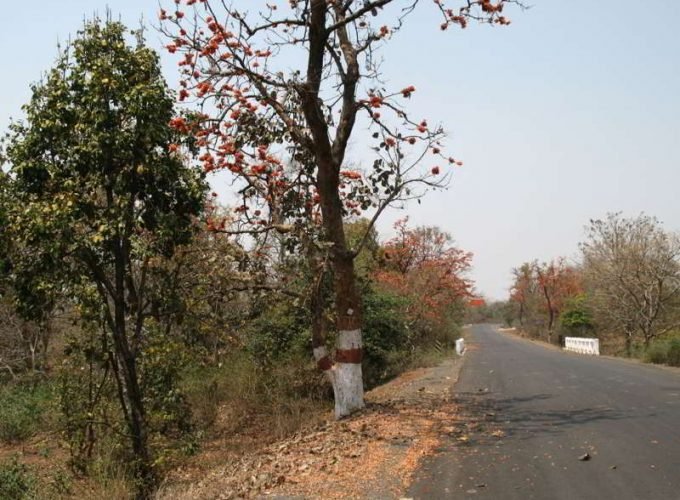 Bhubaneswar & Chilika Holiday Tour 02 Nights & 03 Days