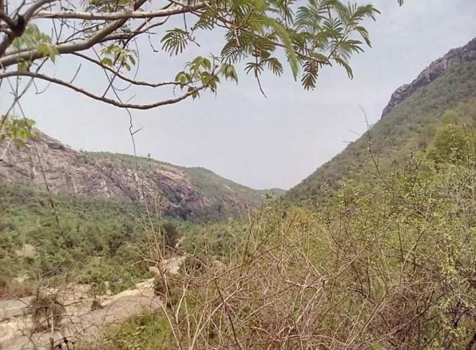 NailaJanjgir Holiday Tour 02 Nights & 03 Days