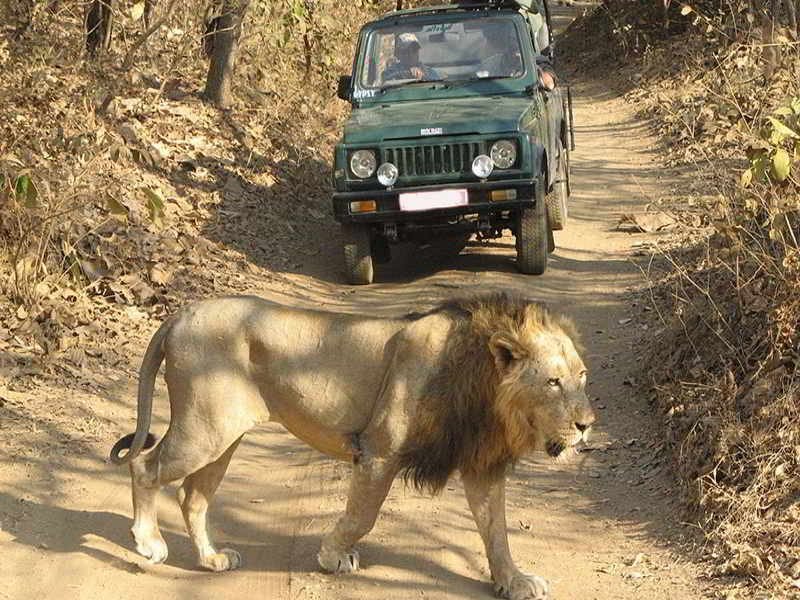 Sacred beauty of Gujarat 02 Nights 03 Days