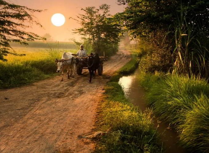 6 Nights 7 days (Punjab tour with Delhi)