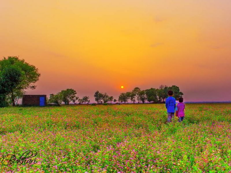 Punjab (Patiala Tour) Holiday Tour 03 Nights 04 Days