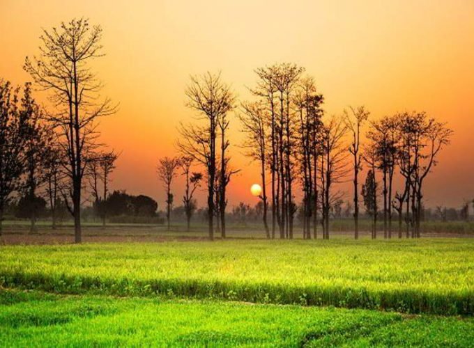 Punjab (Sanguru) Holiday Tour 04 Nights and 05 Days