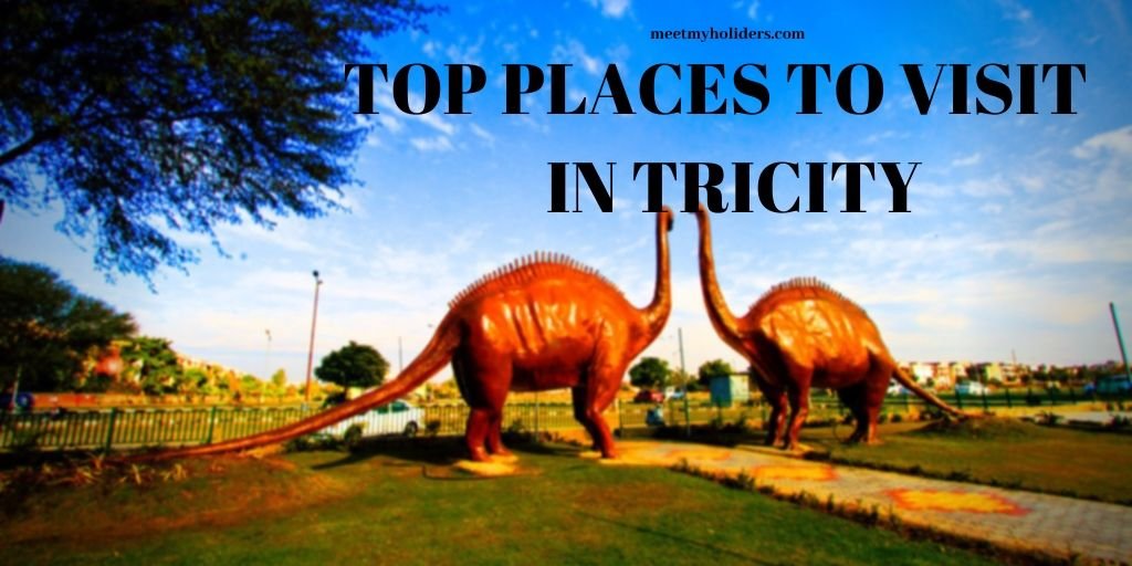 Top Places To Visit in Tricity-An Inforgraphic