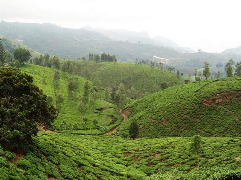 YERCAUD HILL STATION WEEKEND TOUR (02 Nights 03 Days)