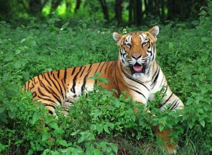 TRIBAL TOUR IN ODISHA 03 Nights & 04 Days.
