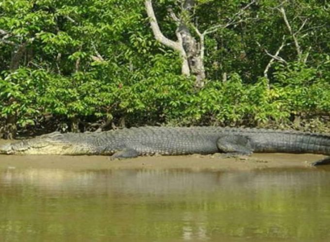 Bhubaneswar & Jaganath Puri Holiday Tour 02 Nights & 03 Days