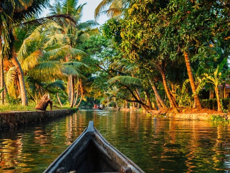 God’s Own Country Kerala Tour