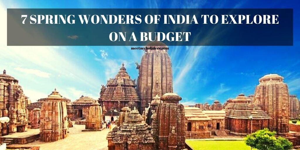 7 Spring Wonders of India to Explore in a Budget- An Infographic