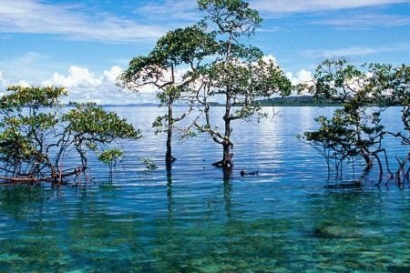 Daman 03 Nights 04 Days Holidays Tour