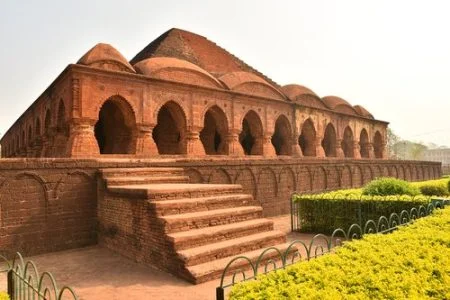 Tiptoe through the Tulips of Washington