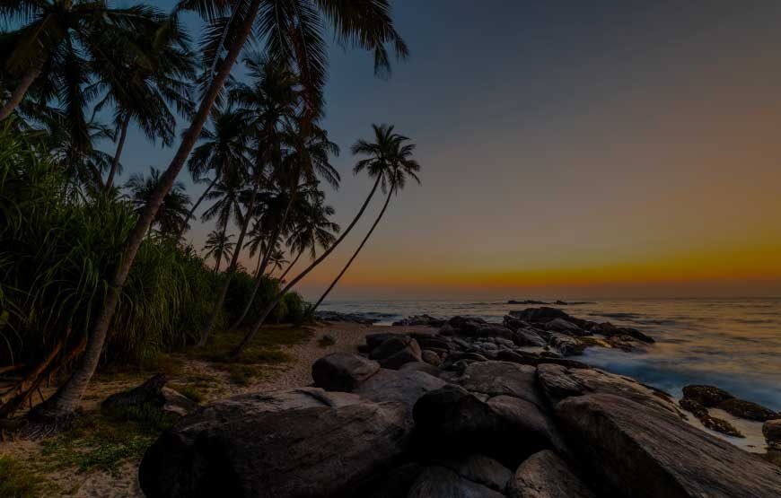 God’s Own Country Kerala 07 days tour