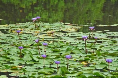 Agartala Tour Package 4 Nights & 5 Days