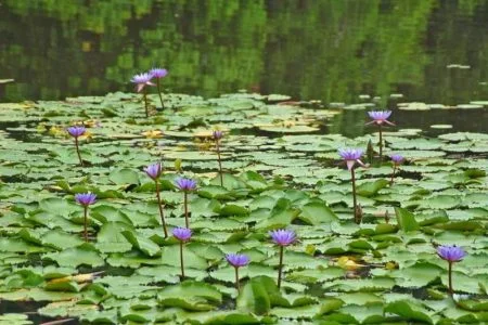 Agartala Tour Package 4 Nights & 5 Days