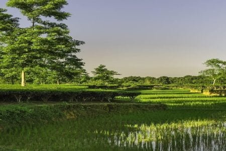 Jorhat , Majuli  Holiday Tour 3 Nights 4 Days