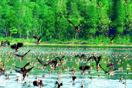 Agartala – Neermahal – Matabari Holidays Tour Package 3 Nights & 4 Days