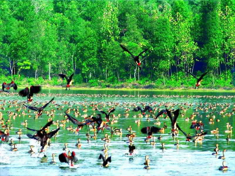 Agartala – Udaipur – Bird Watching – Rudrasagar Lake Holidays Tour 5 Nights & 6 days