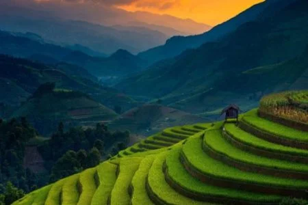 Ranikhet Kausani Tour (06 Nights / 07 Days )
