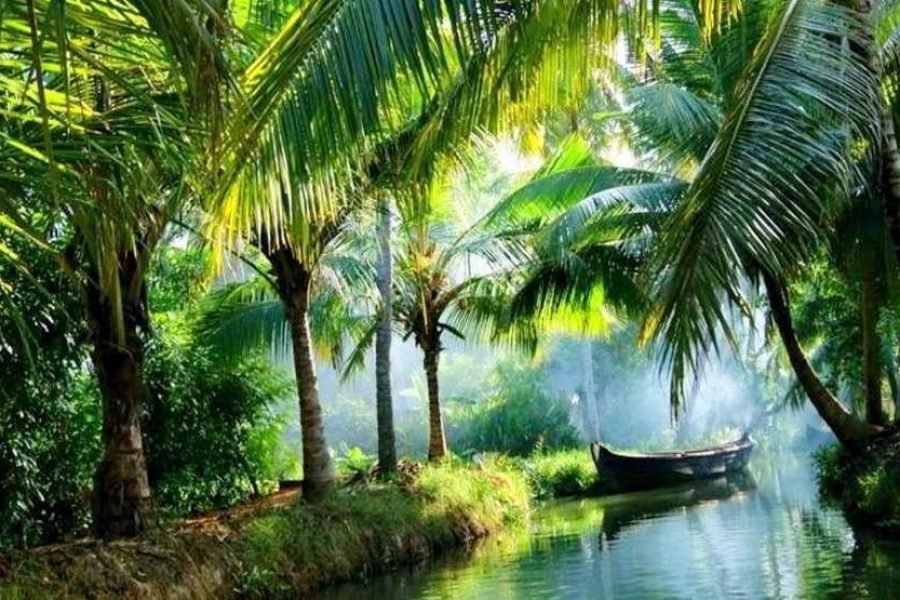 God’s Own country Kerala Marari Beach & Kumarakom Tour