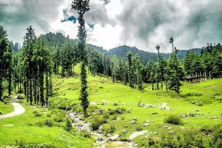 “Choti Kashi” Mandi and Karsog Valley Tour