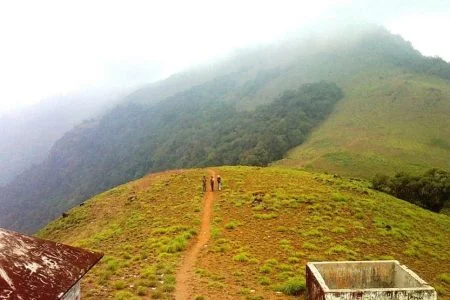 God’s Own Country Kerala 07 days tour