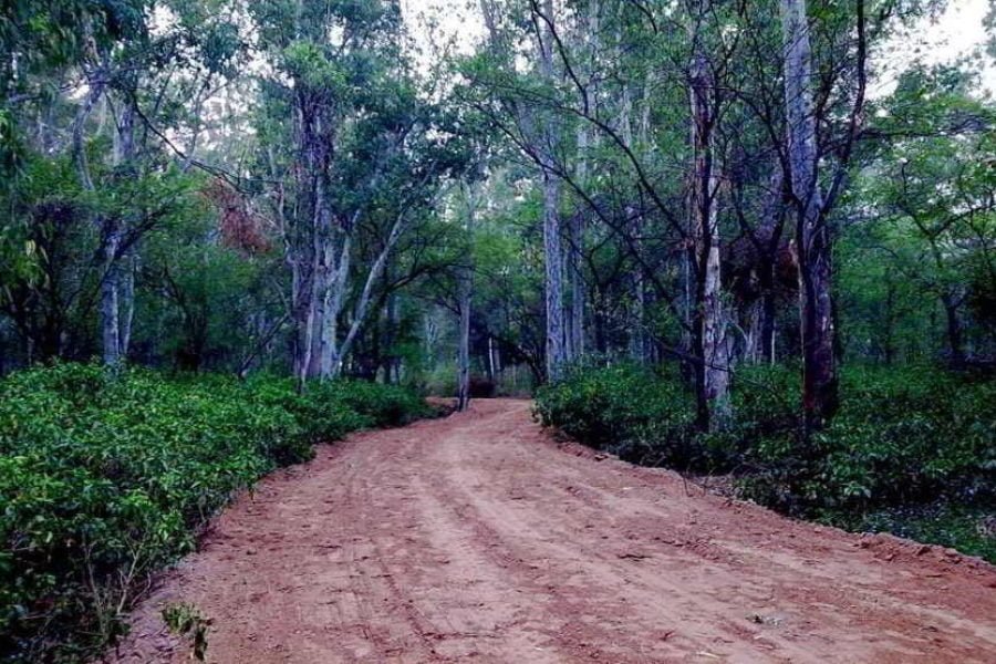 Chandigarh & jawalamukhi   temple tour (03 nights 4 days )