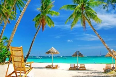 Dolphin Trip 02 nights & 03 days