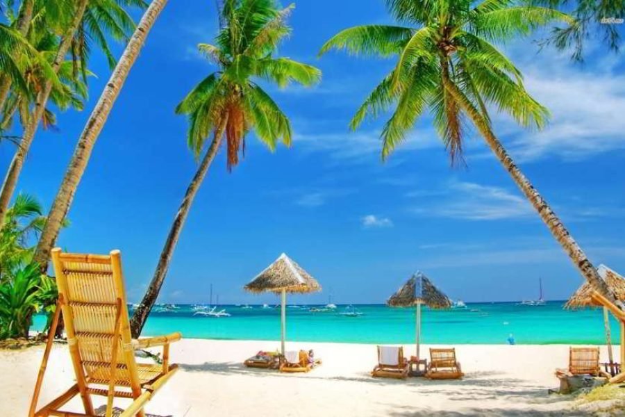 Dolphin Trip 02 nights & 03 days