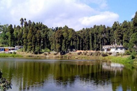 Gorumara tour (4 Nights/5 Days)