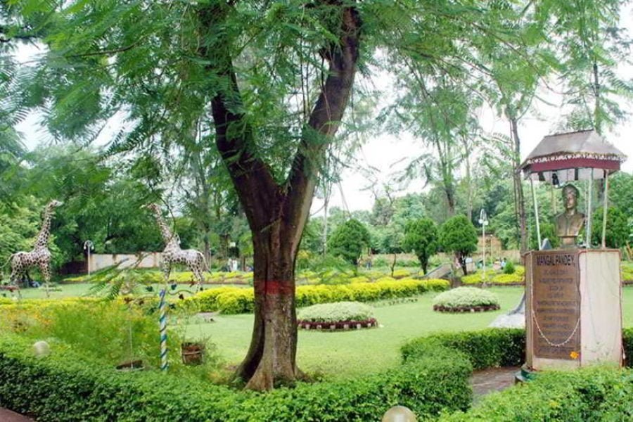 Darjeeling,Dotery, Rimbik Holidays Tour (9 Nights /10 Days)