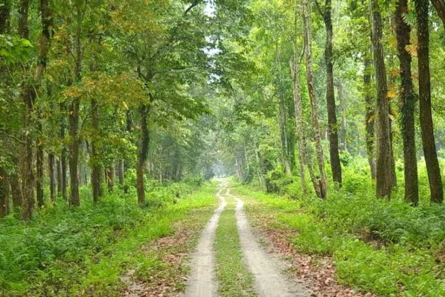 Darjeeling, Kalimpong tour (3 Nights /4 Days)