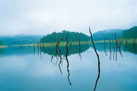 God’s Own Country Kerala Thekkady Tour