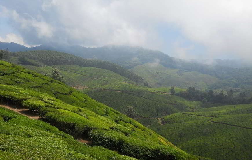 Splendors of Nainital with Auli (Holidays Tour) 09 Nights/10 Days