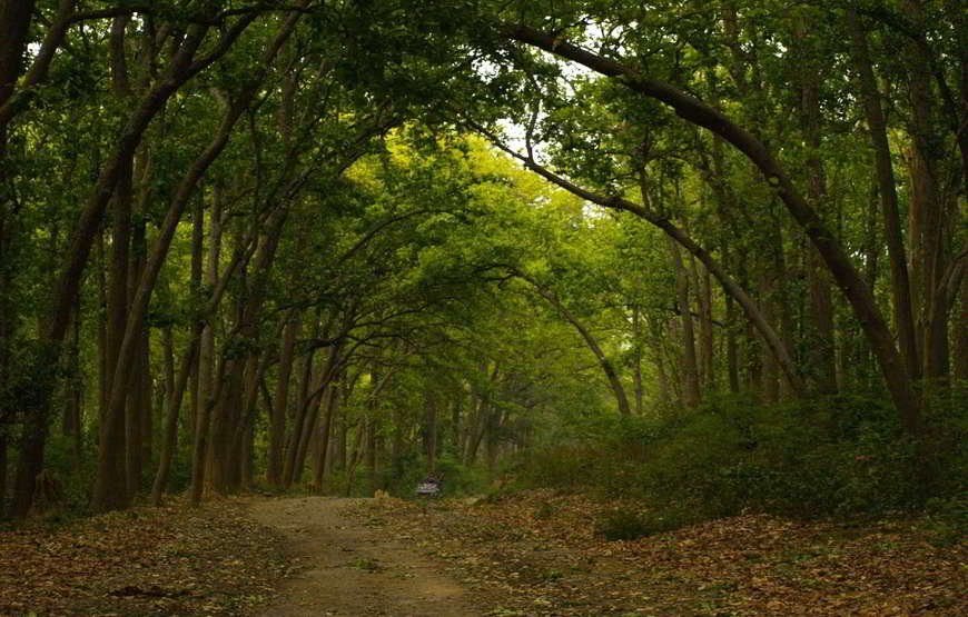 Chill Thrill Jim Corbett with Mussoorie Tour (04 Nights/05 Days)