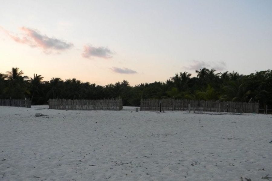 Lakshadweep  Cochin – Agatti – Bangaram 6 Days