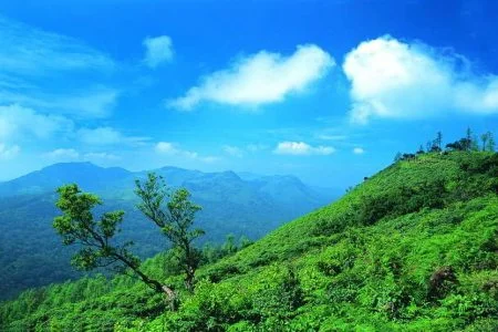 Amazing Nandi Hill Packae (02 night/03 days)