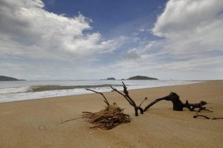 DANDELI COASTAL KARNATAKA TOUR (05 Nights/06 Days)