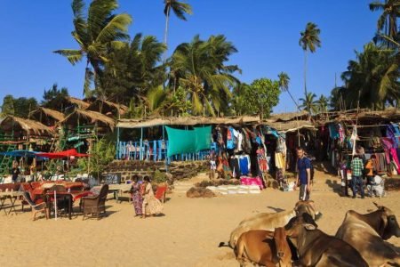 Amazing Beauty of Goa Tour 03 nights / 04 days