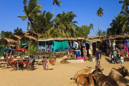 Amazing Beauty of Goa Tour 03 nights / 04 days