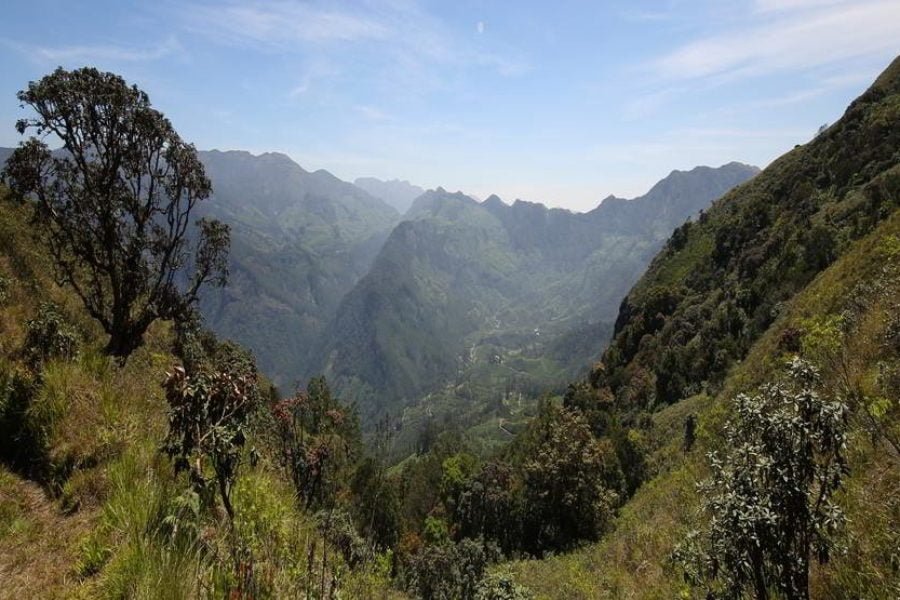 “God’s Own Country Kerala” Cochin-Munnar-Thekkady and Alleppey Tour